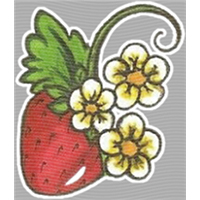 Strawberry Shortcake-SC 91